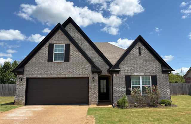 South Cherry Tree 904 Gallery 1