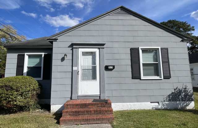 515 Truitt Street - 515 Truitt Street, Salisbury, MD 21804