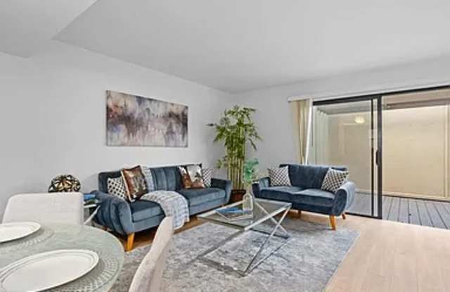 8461 Via Mallorca Gallery 2