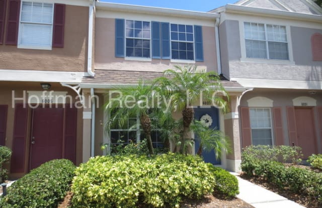 6003 Bayside Key Drive - 6003 Bayside Key Drive, Town 'n' Country, FL 33615