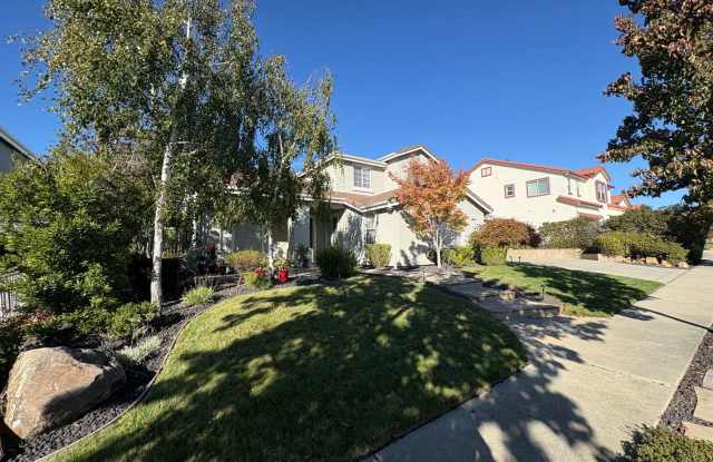 Bay Area Views galore with this Hayward Hills Gem! Gallery 3