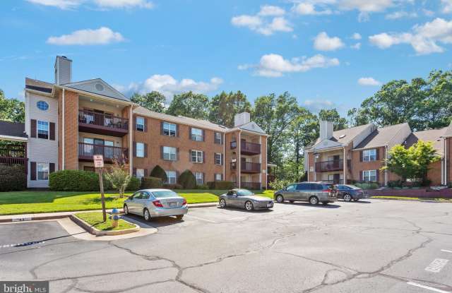 9933 GRAPEWOOD COURT Gallery 2