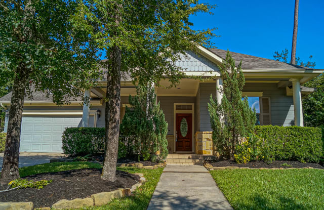 18 E Tapestry Park Cir - 18 East Tapestry Park Circle, The Woodlands, TX 77381