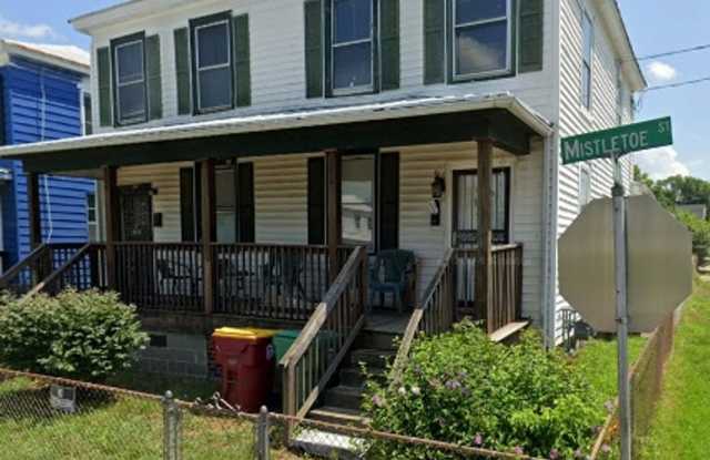 2 Bedroom Duplex in Petersburg - 356 Mistletoe Street, Petersburg, VA 23803