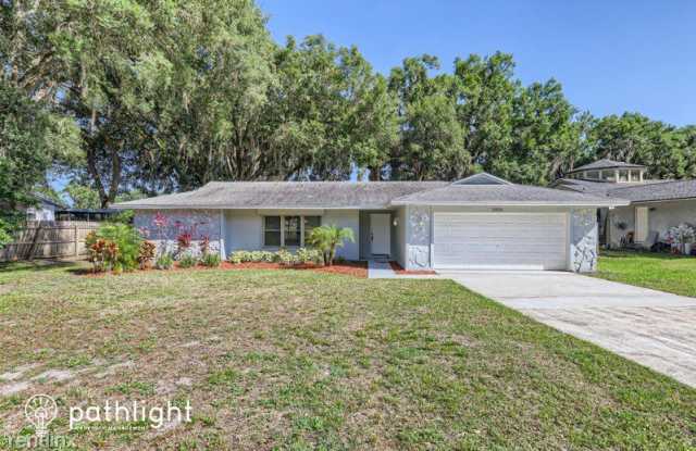 3856 Lake Joyce Drive UNIT - 3856 Lake Joyce Drive, Land O' Lakes, FL 34639