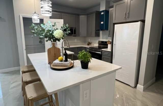 373 AMBERJACK Gallery 3
