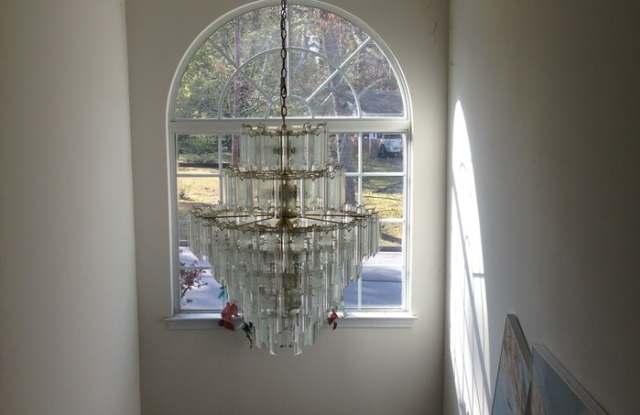 881 Carter Road Gallery 4
