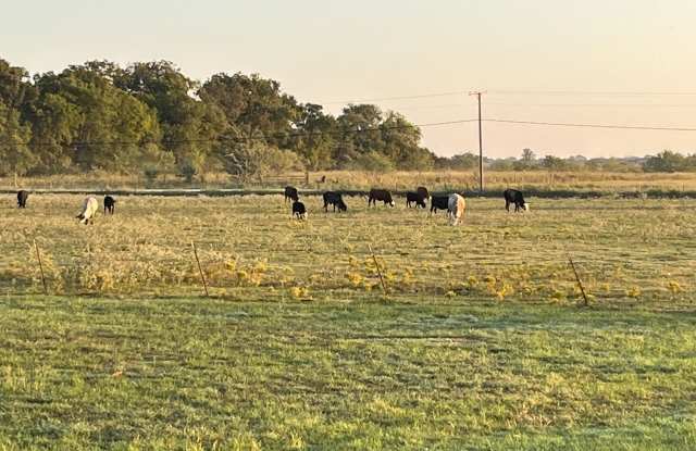 5260 Southwest County Road 1140 - 5260 Southwest County Road, Navarro County, TX 75110
