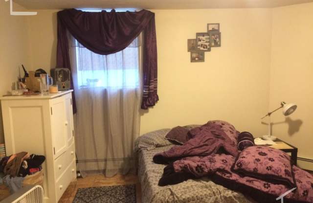 Large Garden Level Unit near T and Brookline Border.  GREAT for BU students! Cat OK Gallery 3