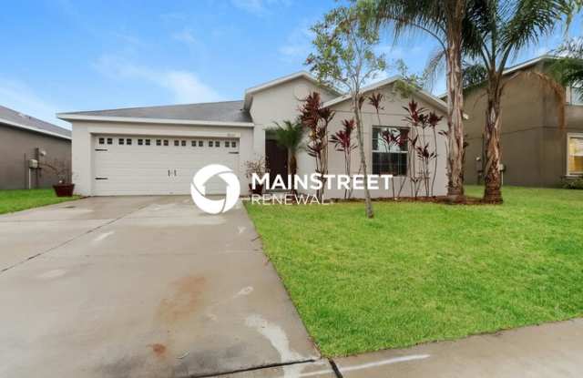 10121 Crested Fringe Drive - 10121 Crested Fringe Drive, Riverview, FL 33578