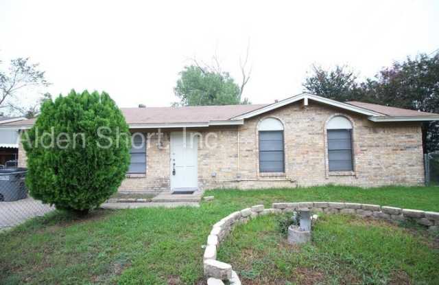 14025 Spring Oak Drive - 14025 Spring Oaks Dr, Balch Springs, TX 75180