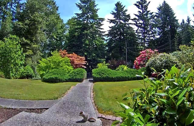 29603 22nd Ave S - 29603 22nd Avenue South, Federal Way, WA 98003
