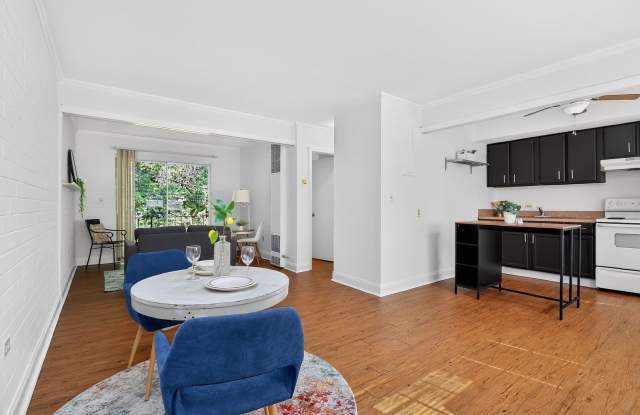 Charming One Bedroom Apartment In The Heart of Plaza Midwood! photos photos Charming One Bedroom Apartment In The Heart of Plaza Midwood! photos photos