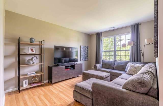 408 Terra Springs Circle Gallery 3