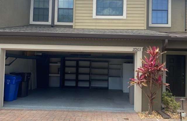 17263 Old Tobacco Road - 17263 Old Tobacco Road, Northdale, FL 33558
