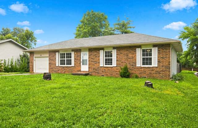 Charming 3 Bedroom Home with Washer & Dryer, Garage & Storage Shed Gallery 4