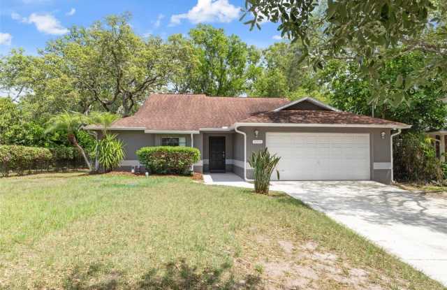 11315 N OLA AVENUE - 11315 North Ola Avenue, Tampa, FL 33612