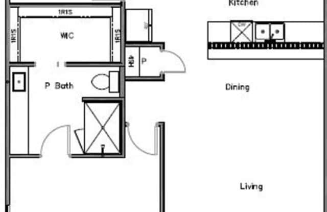 1141 Trellis Pass Gallery 4