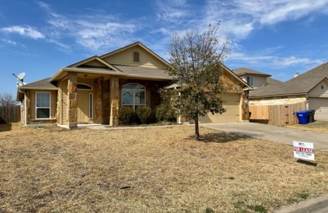 9917 Desperado Dr. - 9917 Parker Springs Drive, Waco, TX 76708