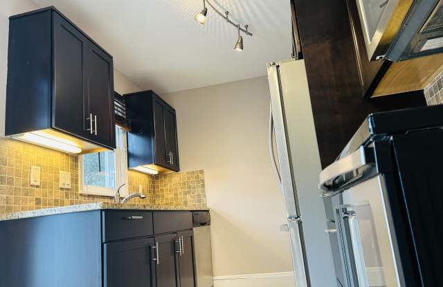 14 West Palm Street - 14 West Palm Street, Duluth, MN 55811