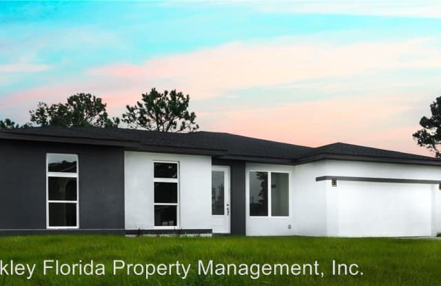 5 Flatfish Dr - 5 Flatfish Drive, Poinciana, FL 34759
