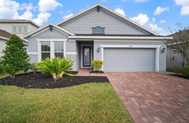 10641 CARDERA DRIVE - 10641 Cardera Drive, Brandon, FL 33511