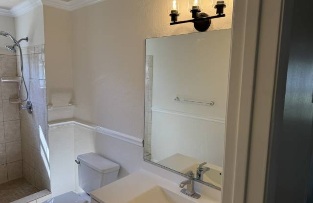 10320 La Guardia Ct - 10320 La Guardia Court, Williamsburg, FL 32821