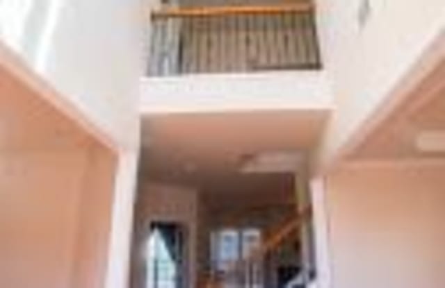 806 Oracle Drive Gallery 4