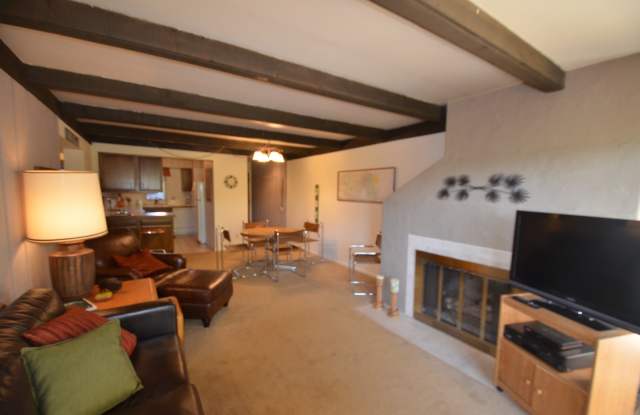 Lease this NOW through the end of JUNE! Fully Furnished, on bus route! Remodeled Kitchen and Baths! BEST SKI SEASON YET!! Gallery 4
