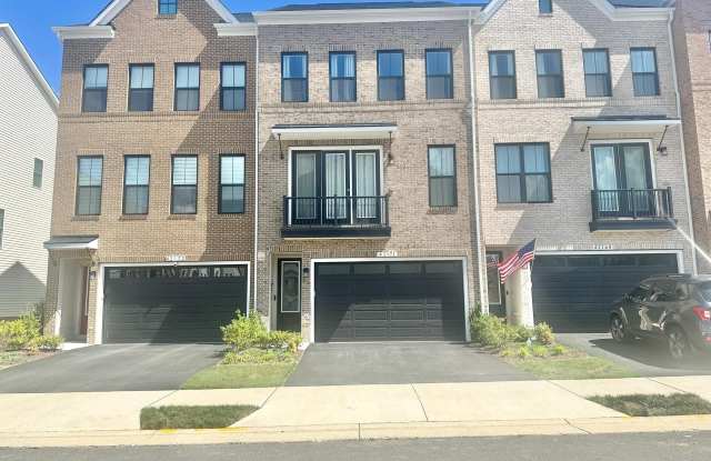 42171 SHINING STAR photos photos
