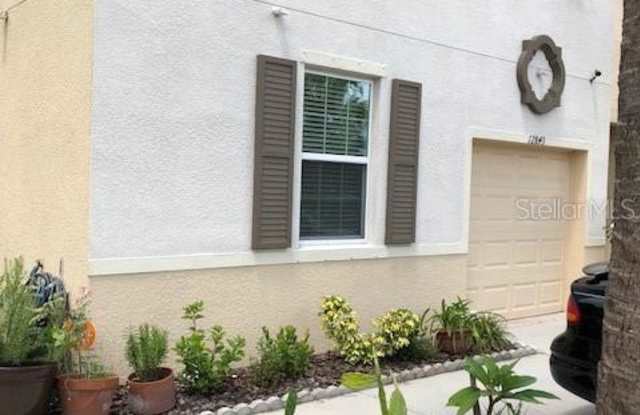 12843 BUFFALO RUN DRIVE - 12843 Buffalo Run Drive, Riverview, FL 33534