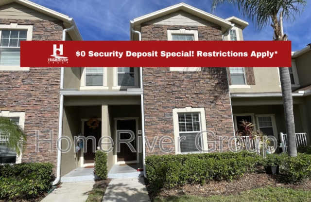 31247 Claridge Pl - 31247 Claridge Place, Wesley Chapel, FL 33543