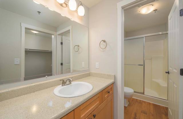 Peloton Apartments Gallery 4