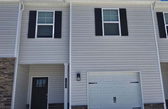 New Construction 4 Bedroom 2.5 Bath Townhome Gallery 1