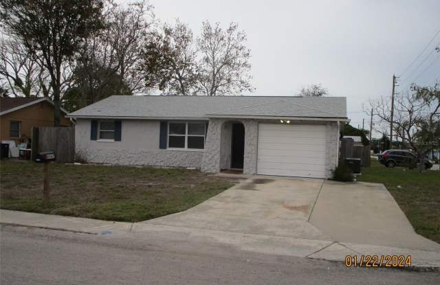 8947 CAIRO LANE - 8947 Cairo Lane, Jasmine Estates, FL 34668