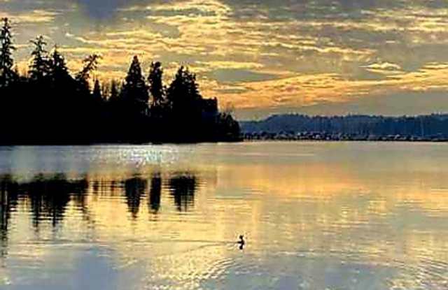 ALL NEW Poulsbo Waterfront Condo, all utilities, electricity, and cable included. Pool access! No Rent Increase EVER! - 19764 3rd Avenue Northwest, Poulsbo, WA 98370