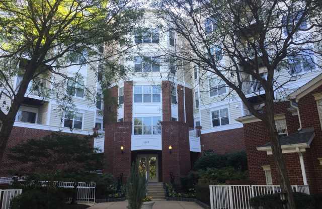 1645 INTERNATIONAL Drive unit: 404 photos photos