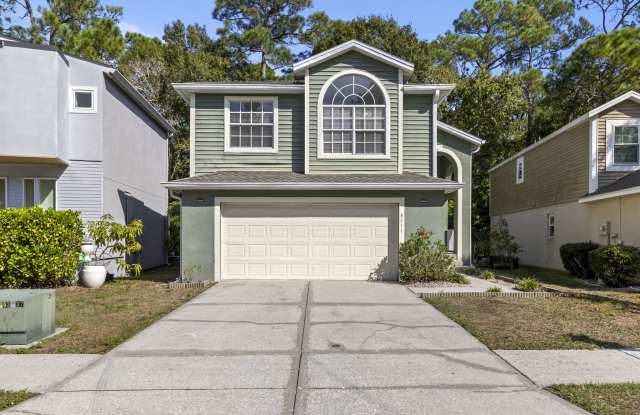 8511 Manassas Rd - 8511 Manassas Road, Town 'n' Country, FL 33635