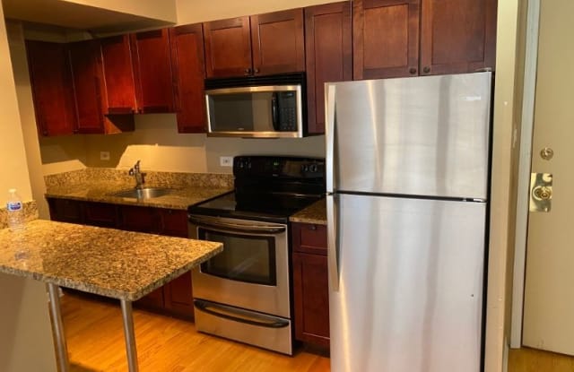 4183 N Marine Dr - 4183 North Marine Drive, Chicago, IL 60640