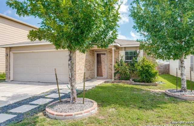 11731 Silver Horse photos photos