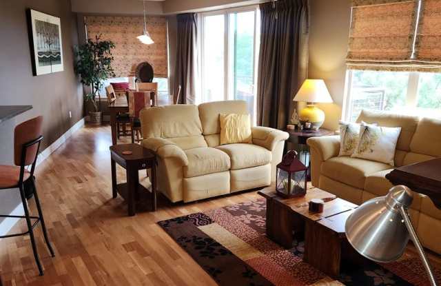 LOCATION, FULLY FURNISHED and LUXURY! Cherry Creek Schools! photos photos