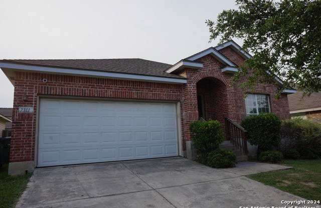 7311 Scordato photos photos
