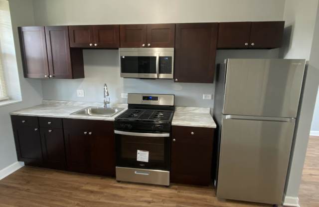 123 North Kostner AvenueUnit 2 - 123 North Kostner Avenue, Chicago, IL 60624