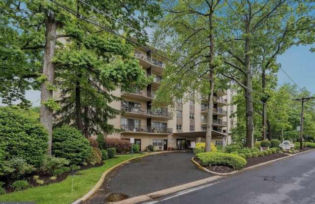 303 CHESTNUT PLACE photos photos