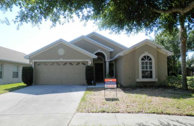 4520 Perdita Ln - 4520 Perdita Ln, Keystone, FL 33558