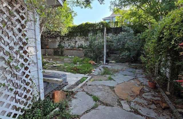 121 Amelia Ct Gallery 4