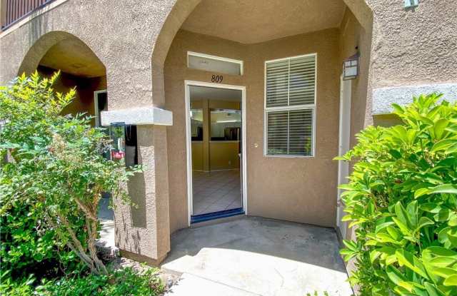 809 Larkridge Gallery 4