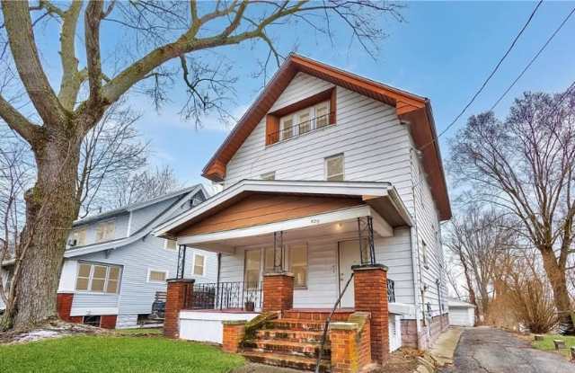 429 Lovisa St - 429 Lovisa Street, Akron, OH 44311