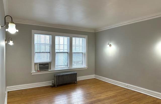 432 S Maple Ave Apt 2 - 432 South Maple Avenue, Oak Park, IL 60302