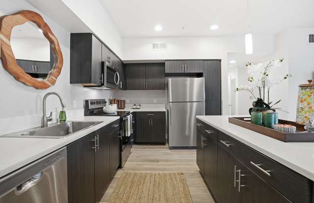 Palomar Station Gallery 4
